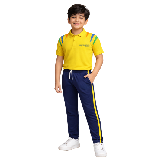 GD Goenka T/SHIRT SPT -NUR - XII