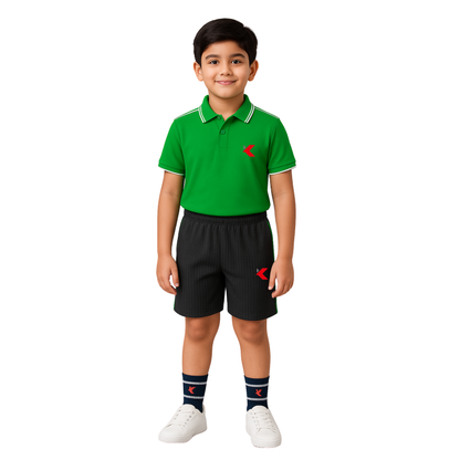 HALF SLEEVES  T-SHIRT  (GRADE NUR - 12) KWS
