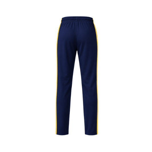 GD Goenka T/PANT SPT -NUR - XII