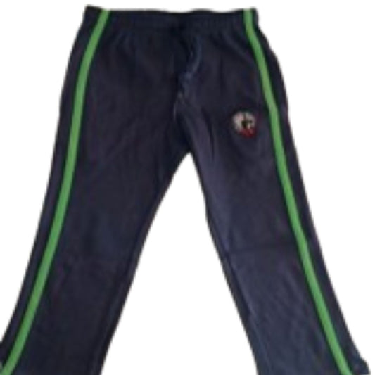 GD Goenka T/PANT SPT -NUR - XII