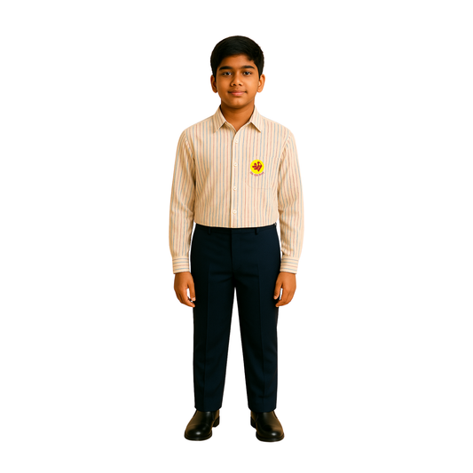 The Shri Ram Formal Striped F/S Shirt