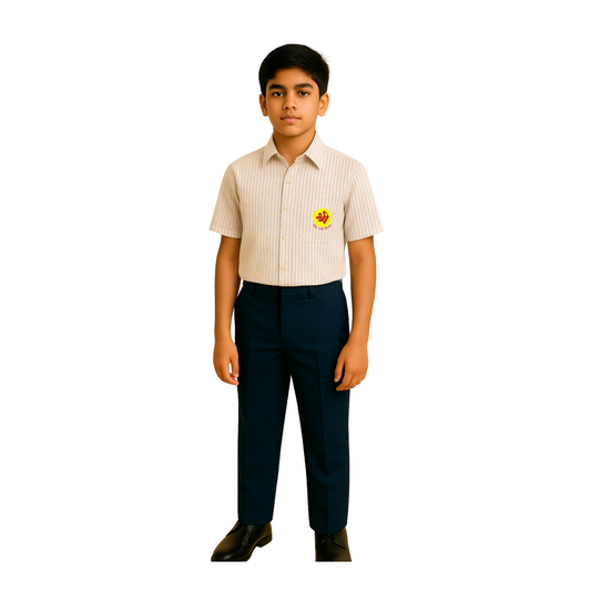 The Shri Ram Formal Striped H/S Shirt