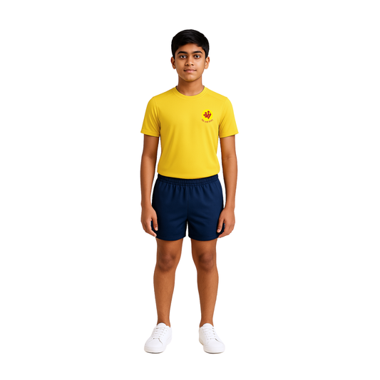 The Shri Ram Sports Roundneck Dry-Fit T-Shirt ( Yellow , Red , Blue , Green )