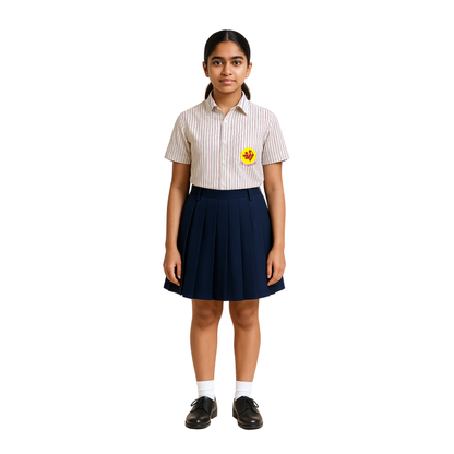 The Shri Ram Navy Pleated Skirt