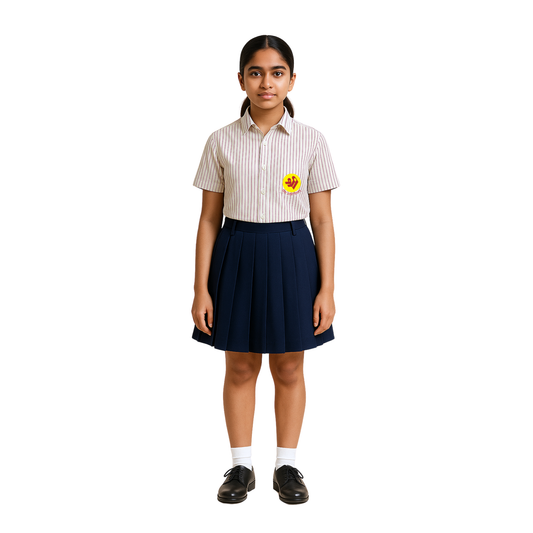 The Shri Ram Navy Pleated Skirt