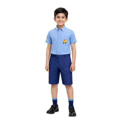 BVN Shorts (Male)
