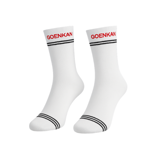 GD Goenka SOCKS - NUR - XII
