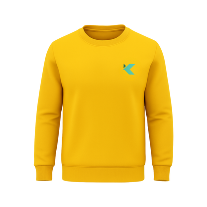 FULL SLEEVES  T-SHIRT  (GRADE NUR -12) KPS